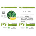 W05 Mihuang Nr. 5 mittlere Reife f1 hybride kernlose Wassermelonensamen